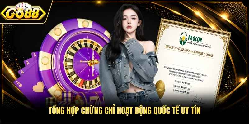 Tổng hợp chứng chỉ hoạt động quốc tế uy tín